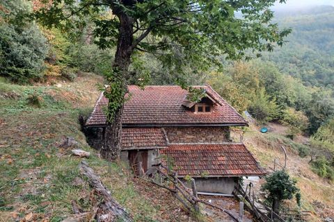 Villa i Pigna, Imperia, Pigna - € 330.000 | Ref: 22522 - foto 4