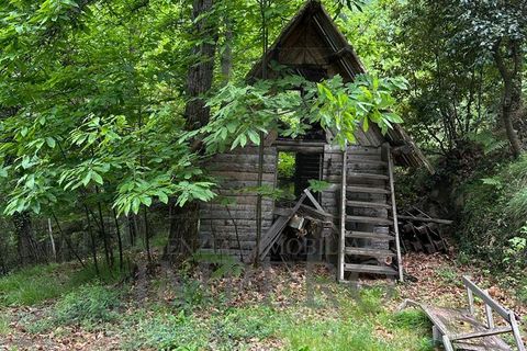 Villa i Pigna, Imperia, Pigna - € 330.000 | Ref: 22522 - foto 8