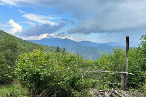 Villa i Pigna, Imperia, Pigna - € 330.000 | Ref: 22522 - foto 9