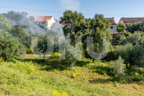 Helårsgrund i Dominguizo, Castelo Branco, Dominguizo - € 39.000 | Ref: UNU.I.2025.12348 - foto 1