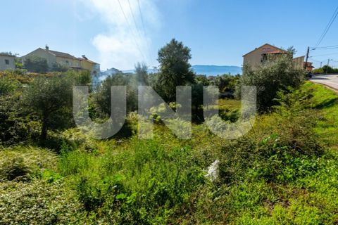 Helårsgrund i Dominguizo, Castelo Branco, Dominguizo - € 39.000 | Ref: UNU.I.2025.12348 - foto 2
