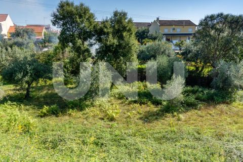 Helårsgrund i Dominguizo, Castelo Branco, Dominguizo - € 39.000 | Ref: UNU.I.2025.12348 - foto 5