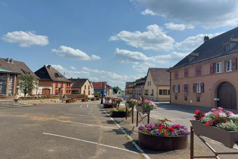 Terra a Bennwihr, Haut-Rhin, Bennwihr - € 99.800 | Ref: PG017679-_14 - foto 3