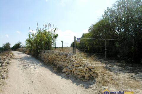 Helårsgrund i Pachino, Siracusa, Pachino - € 16.500 | Ref: Fondo Carrata - foto 1