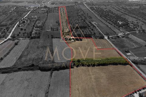 Farm i Luz, Faro, Luz - € 1.095.000 | Ref: MAS_55 - foto 2