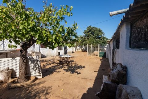 Farm i Luz, Faro, Luz - € 1.095.000 | Ref: MAS_55 - foto 13