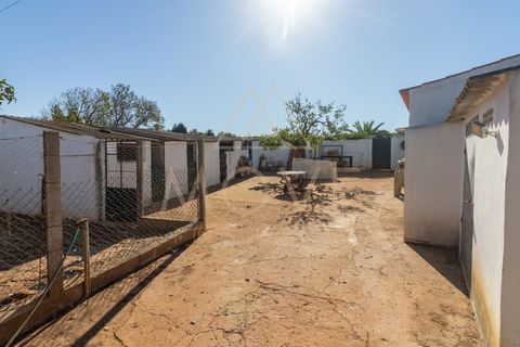 Farm i Luz, Faro, Luz - € 1.095.000 | Ref: MAS_55 - foto 14