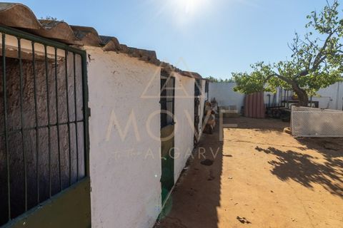 Farm i Luz, Faro, Luz - € 1.095.000 | Ref: MAS_55 - foto 15