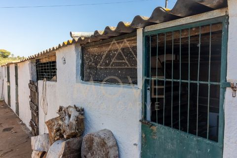 Farm i Luz, Faro, Luz - € 1.095.000 | Ref: MAS_55 - foto 16