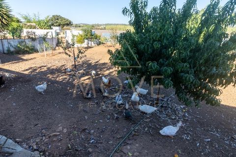 Farm i Luz, Faro, Luz - € 1.095.000 | Ref: MAS_55 - foto 17