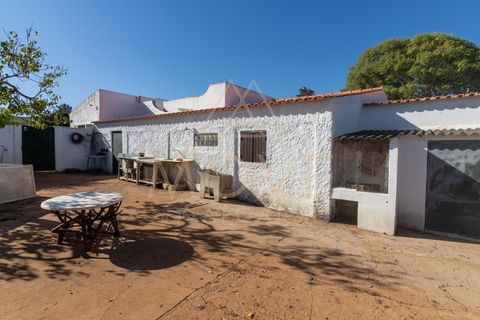 Farm i Luz, Faro, Luz - € 1.095.000 | Ref: MAS_55 - foto 18