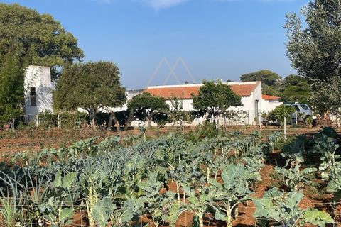 Farm i Luz, Faro, Luz - € 1.095.000 | Ref: MAS_55 - foto 19