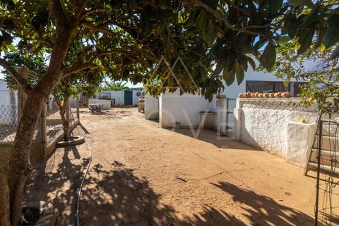 Farm i Luz, Faro, Luz - € 1.095.000 | Ref: MAS_55 - foto 22