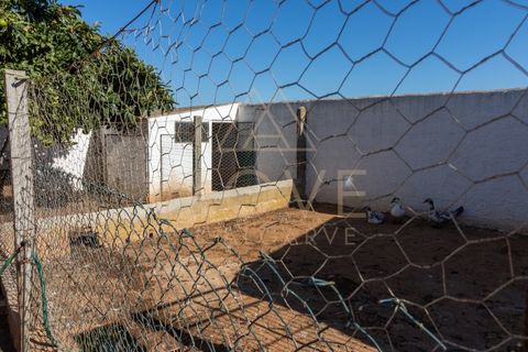 Farm i Luz, Faro, Luz - € 1.095.000 | Ref: MAS_55 - foto 24