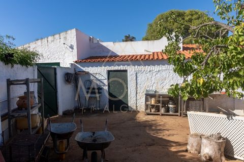 Farm i Luz, Faro, Luz - € 1.095.000 | Ref: MAS_55 - foto 26