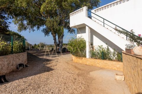 Farm i Luz, Faro, Luz - € 1.095.000 | Ref: MAS_55 - foto 27