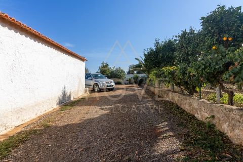 Farm i Luz, Faro, Luz - € 1.095.000 | Ref: MAS_55 - foto 28