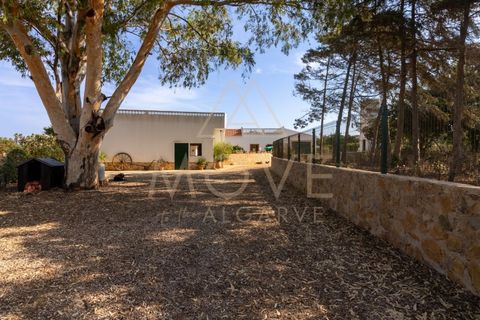 Farm i Luz, Faro, Luz - € 1.095.000 | Ref: MAS_55 - foto 41