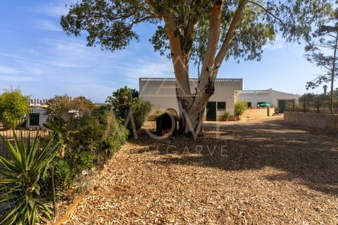Farm i Luz, Faro, Luz - € 1.095.000 | Ref: MAS_55 - foto 42