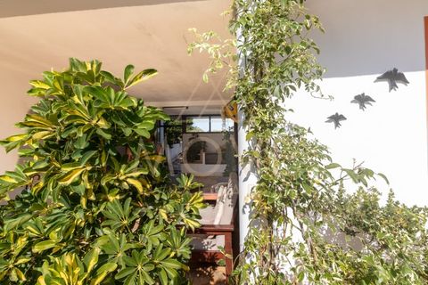 Farm i Luz, Faro, Luz - € 1.095.000 | Ref: MAS_55 - foto 46