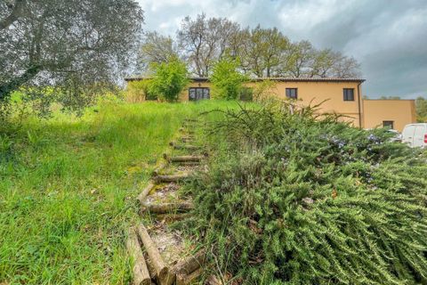 Villa a Castelplanio, Ancona, Castelplanio - € 225.000 | Ref: 2765 - foto 11