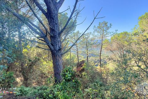 Terra a Lloret De Mar, Gerona, Lloret De Mar - € 55.000 | Ref: PAR0075 - foto 6