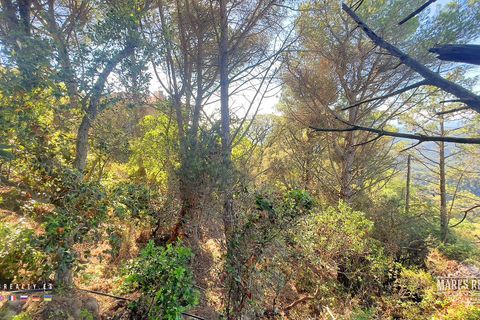 Terra a Lloret De Mar, Gerona, Lloret De Mar - € 55.000 | Ref: PAR0075 - foto 7