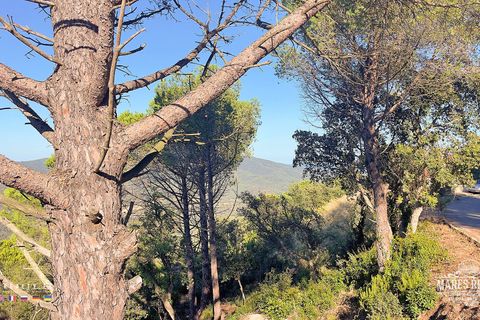 Terra a Lloret De Mar, Gerona, Lloret De Mar - € 55.000 | Ref: PAR0075 - foto 9