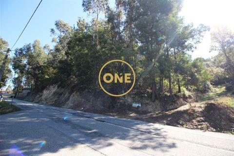 Helårsgrund i Fafe, Braga, Fafe - € 35.000 | Ref: ONE0011026-454 - foto 3