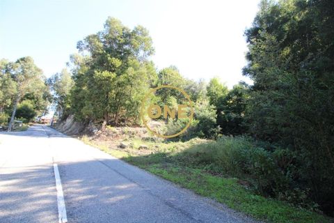 Helårsgrund i Fafe, Braga, Fafe - € 35.000 | Ref: ONE0011026-454 - foto 5