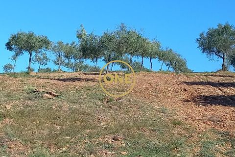 Helårsgrund i Vimioso, Braganca, Vimioso - € 27.000 | Ref: ONE0011230-22 - foto 2