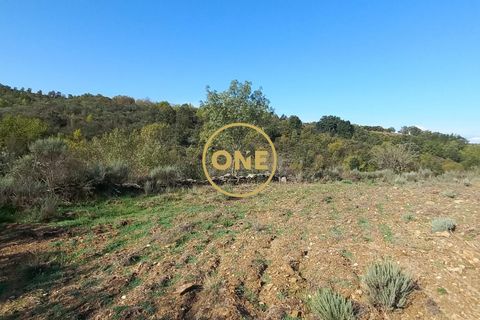 Helårsgrund i Vimioso, Braganca, Vimioso - € 27.000 | Ref: ONE0011230-22 - foto 3