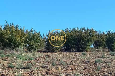 Helårsgrund i Vimioso, Braganca, Vimioso - € 27.000 | Ref: ONE0011230-22 - foto 5