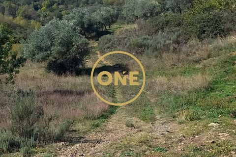 Helårsgrund i Vimioso, Braganca, Vimioso - € 27.000 | Ref: ONE0011230-22 - foto 6