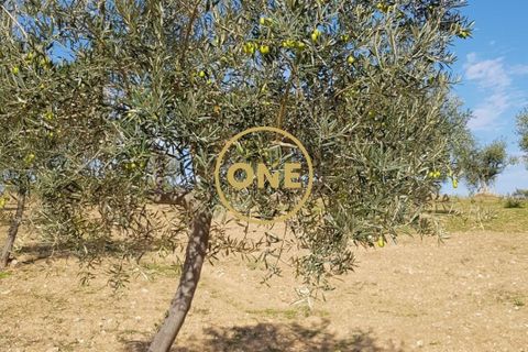 Helårsgrund i Vimioso, Braganca, Vimioso - € 27.000 | Ref: ONE0011230-22 - foto 7