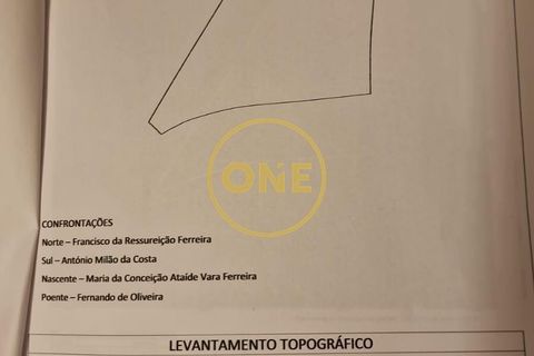 Helårsgrund i Vimioso, Braganca, Vimioso - € 27.000 | Ref: ONE0011230-22 - foto 16