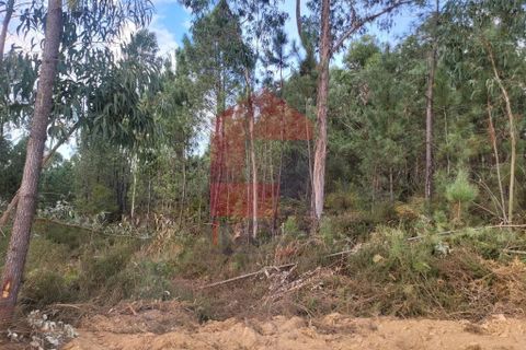 Helårsgrund i Vila Verde, Braga, Vila Verde - € 137.500 | Ref: 08173 - foto 2