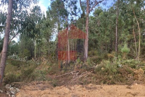 Helårsgrund i Vila Verde, Braga, Vila Verde - € 137.500 | Ref: 08173 - foto 6