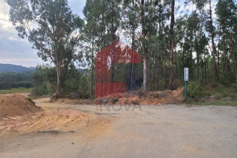 Helårsgrund i Vila Verde, Braga, Vila Verde - € 137.500 | Ref: 08173 - foto 7