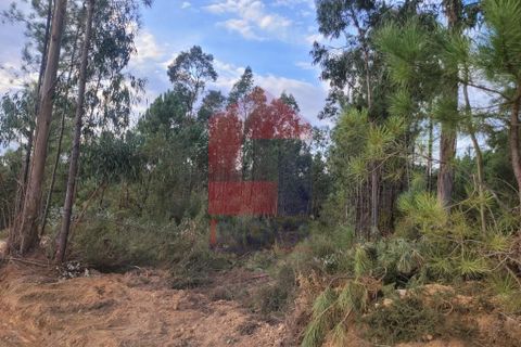 Helårsgrund i Vila Verde, Braga, Vila Verde - € 137.500 | Ref: 08173 - foto 9
