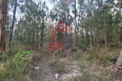 Helårsgrund i Vila Verde, Braga, Vila Verde - € 137.500 | Ref: 08173 - foto 17