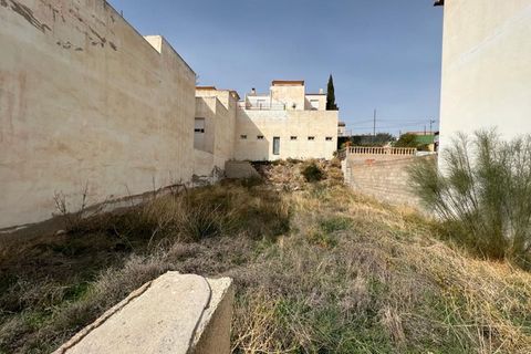 Terrain - Cantoria, Almeria, Cantoria - € 28 000 | Réf : 3243-05025 - photo 6