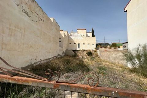 Terrain - Cantoria, Almeria, Cantoria - € 28 000 | Réf : 3243-05025 - photo 7