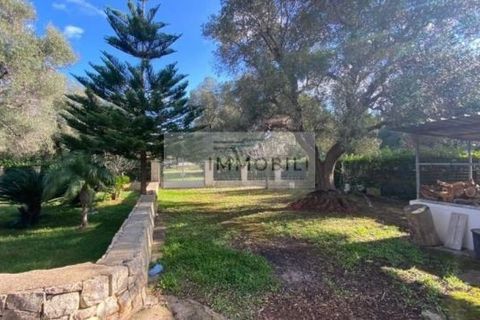 Villa i Carovigno, Brindisi, Carovigno - € 320.000 | Ref: suspended vp12 - foto 10