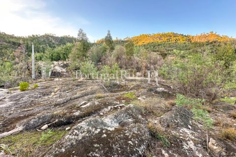 Helårsgrund i Castelo Branco, Castelo Branco, Castelo Branco - € 28.000 | Ref: 714-3 - foto 2