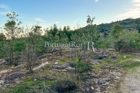 Helårsgrund i Castelo Branco, Castelo Branco, Castelo Branco - € 28.000 | Ref: 714-3 - foto 5