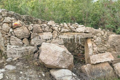 Helårsgrund i Castelo Branco, Castelo Branco, Castelo Branco - € 28.000 | Ref: 714-3 - foto 3