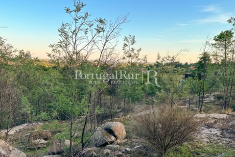 Helårsgrund i Castelo Branco, Castelo Branco, Castelo Branco - € 28.000 | Ref: 714-3 - foto 6