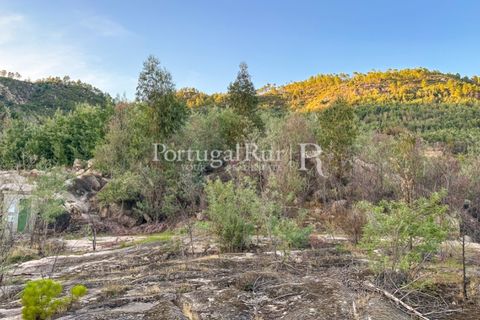 Helårsgrund i Castelo Branco, Castelo Branco, Castelo Branco - € 28.000 | Ref: 714-3 - foto 1