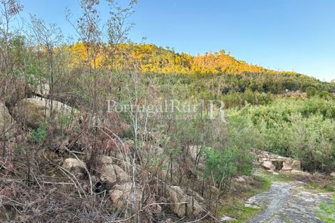 Helårsgrund i Castelo Branco, Castelo Branco, Castelo Branco - € 28.000 | Ref: 714-3 - foto 7